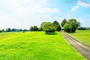 蓝天 草地