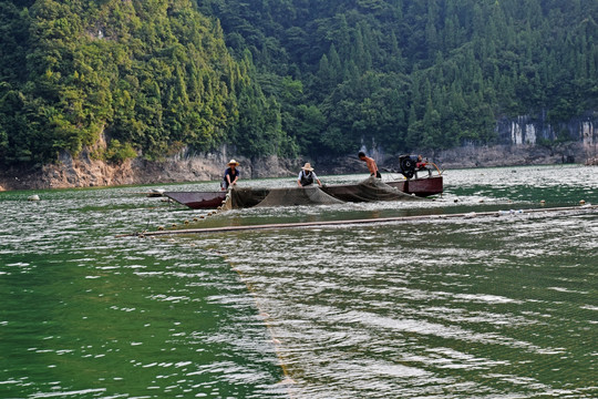 水库养殖