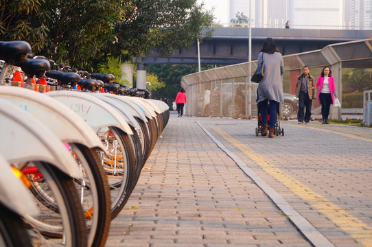 深圳街头的公共自行车