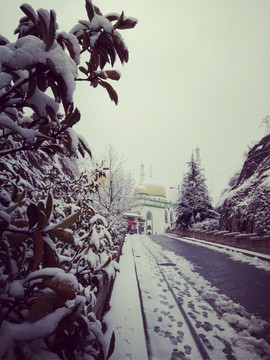 雪景树木冬季清真寺