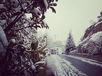 雪景树木冬季清真寺