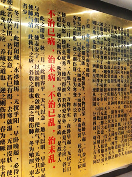 中医文化展示墙