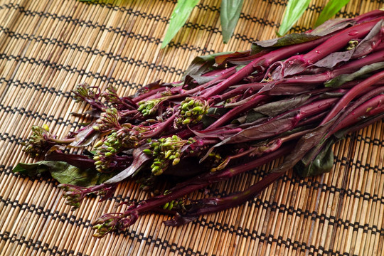 红菜苔 紫菜苔