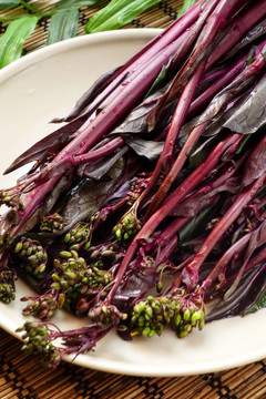 红菜苔 紫菜苔