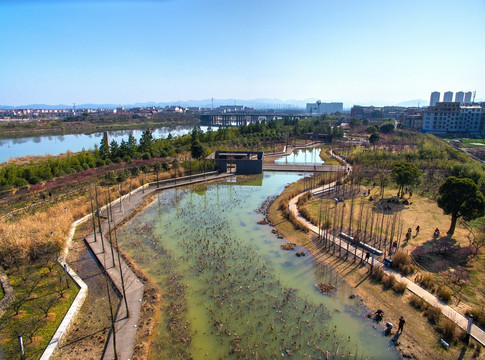 金华梅园梅花主题公园全景