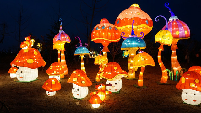 花灯 灯展 蘑菇灯