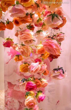 鲜花墙 花卉墙