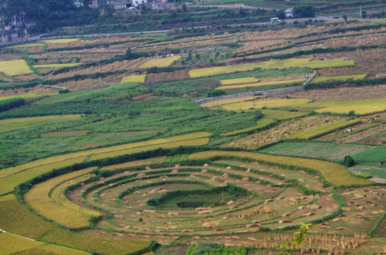 万峰林