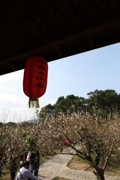梅花
