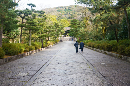 绿荫街道