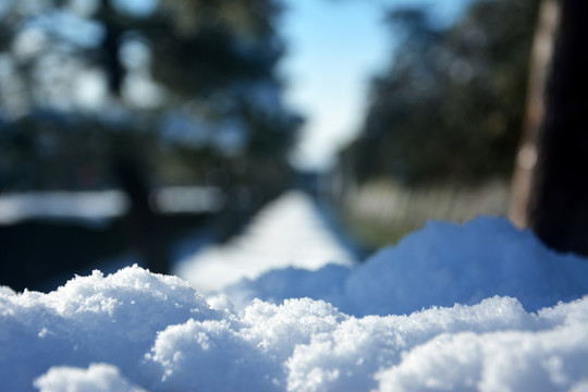 雪