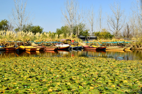 西昌 小渔村 湿地公园