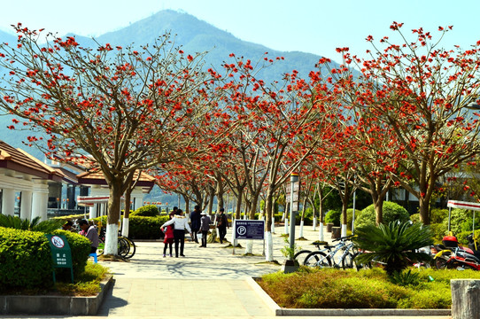 西昌 小渔村