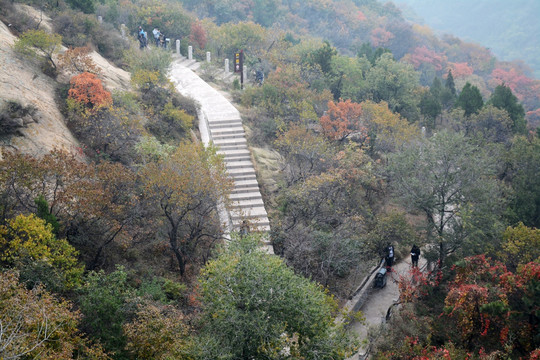 山间道路