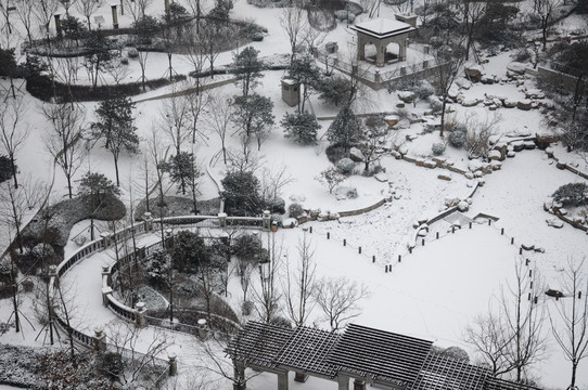 雪后园林景色