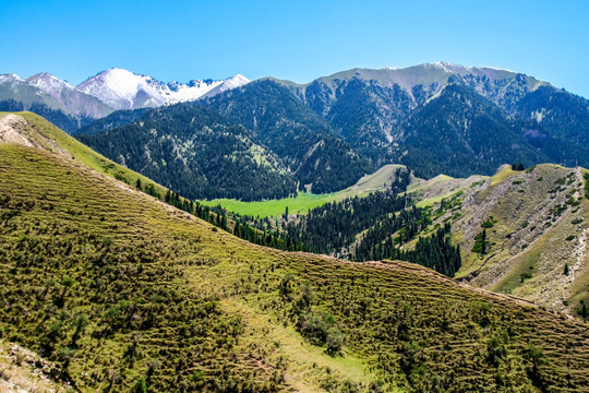 春季天山山脉