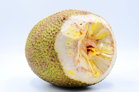 菠萝蜜