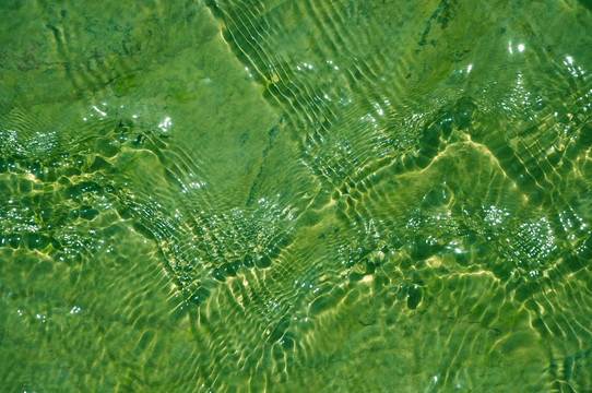 绿色鱼鳞水波纹