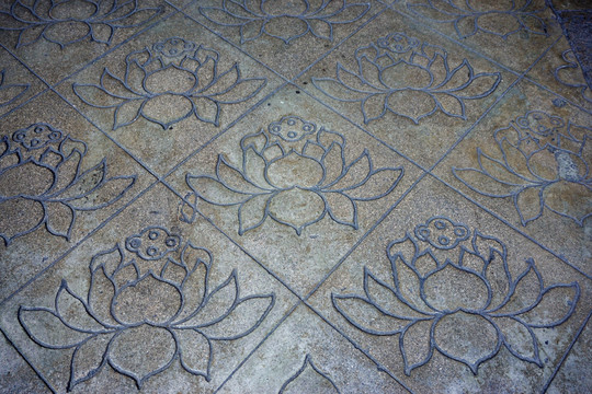 地面 莲花 图案