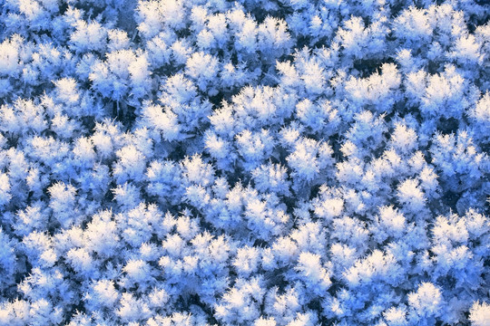 冰河雪花纹理