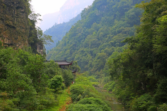 白果树景区山谷