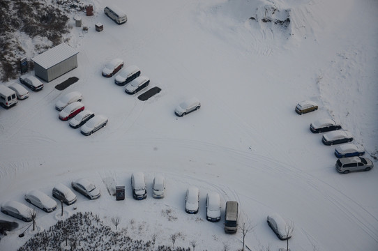 雪中停放的轿车