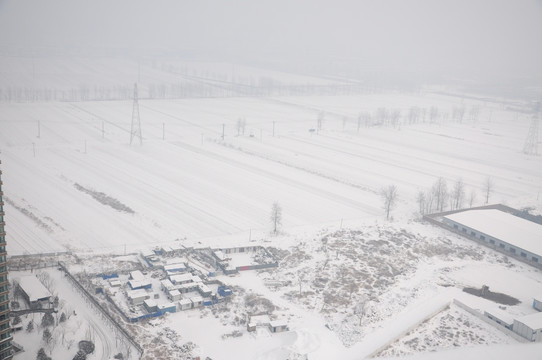 雪中的田地