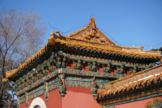 古建筑 红墙 琉璃瓦