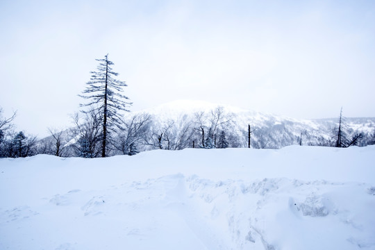 雪村雪景