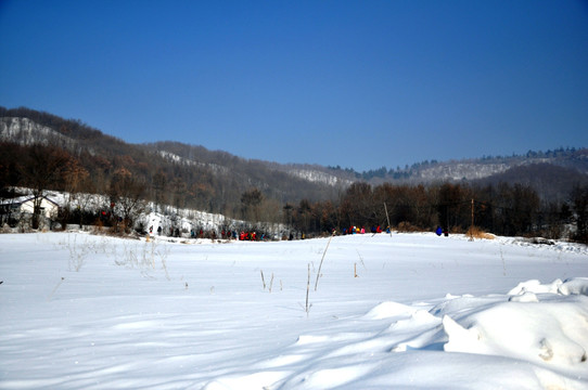 东北雪景