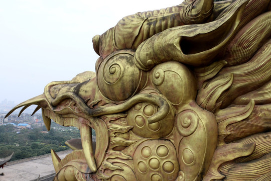 龙头龙纹