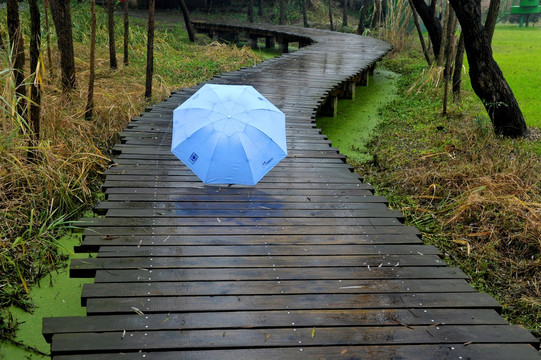 一把蓝色雨伞放在木栈道上
