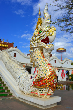 傣族神龙雕塑 鸟头蛇身神兽
