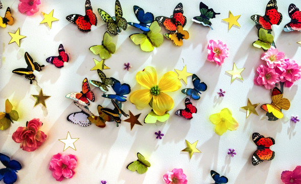 装饰在墙上的花朵蝴蝶