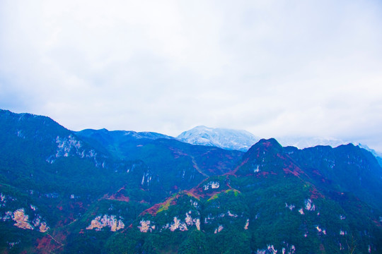 大山 山野