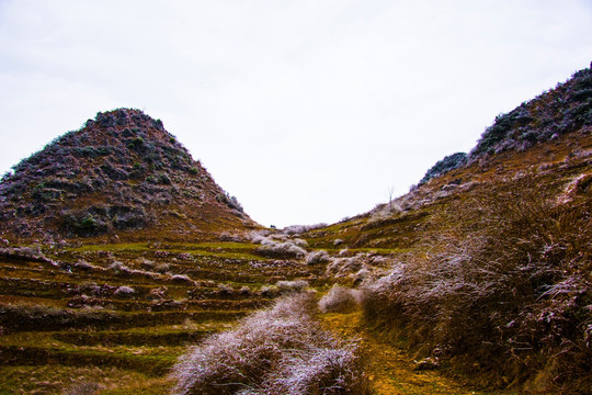 山丘