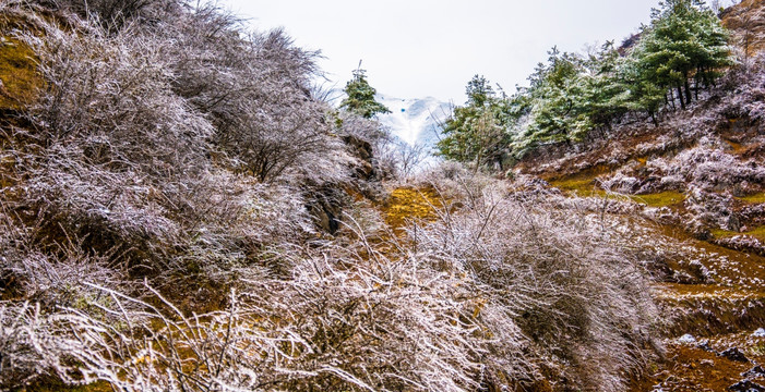 冰凌 山地