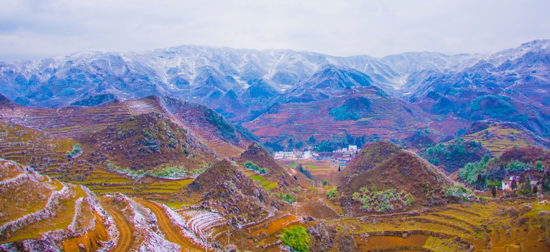 丘陵 春雪