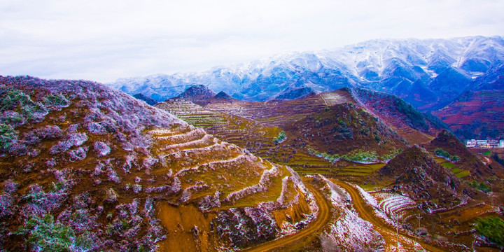 丘陵 春雪