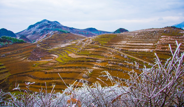 丘陵 春雪