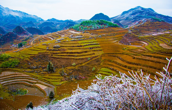 丘陵 春雪