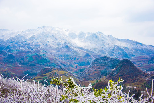 雪山 丘陵