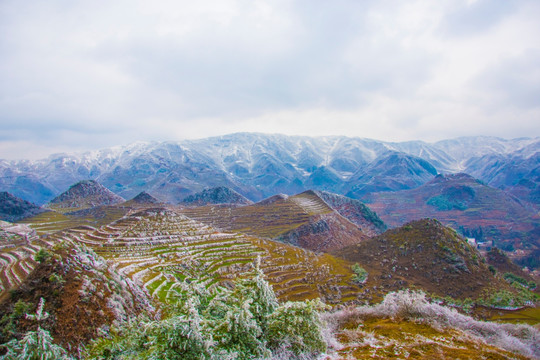 丘陵 雪景