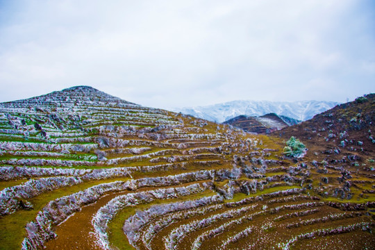 山地 丘陵