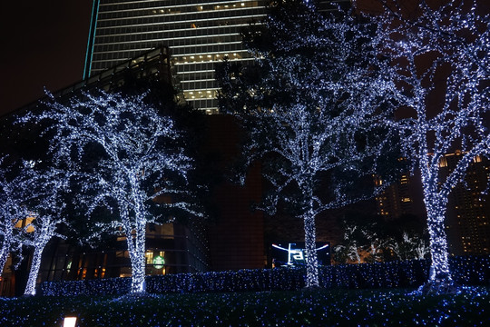 led夜景 景观树