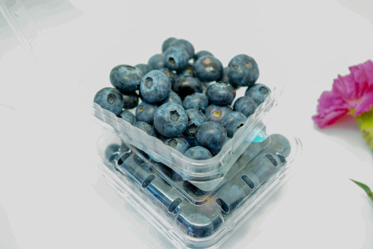 蓝莓素材 蓝莓高清 盒装蓝莓