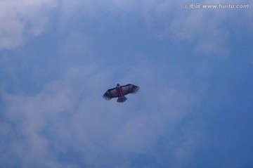 蓝天白云下的风筝在飞翔