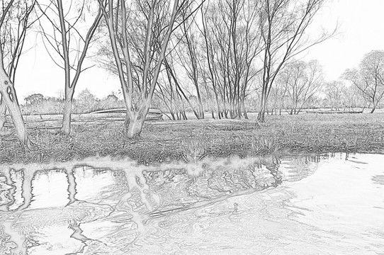 西溪湿地线描