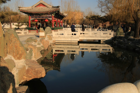 大观园