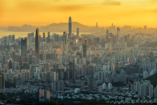 深圳 都市风光 风景 高楼群